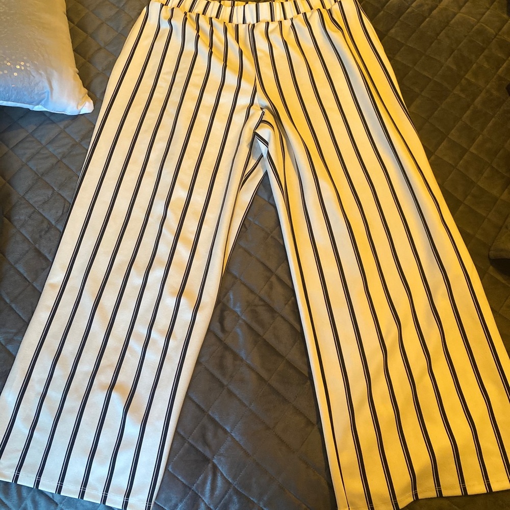 Cato dress pant 18/20